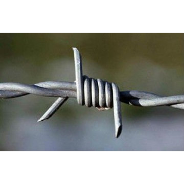 Quality certificate for the safety razor barbed wire for security fencing